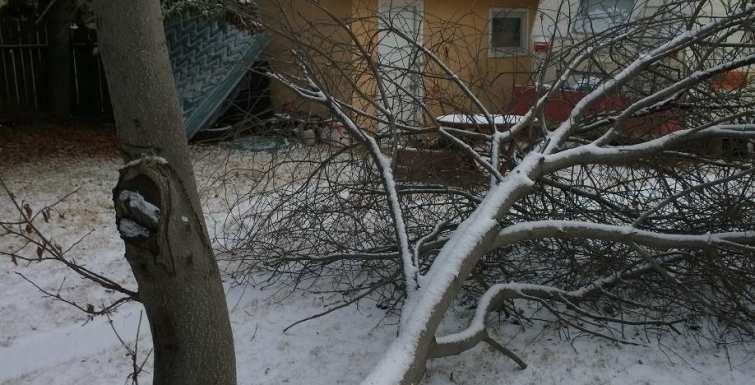 Preventing snow, wind & ice damage